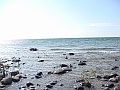 Western Michigan [2010] 809